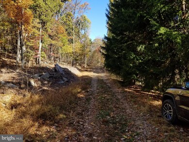 0 Roberts Ln unit 1004071929, Great Cacapon, WV 25422 - photo 6