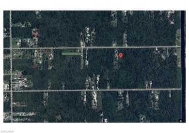 3620 30th Ave SE, Rural Estates, FL 34117 - photo 3