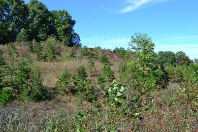 70 Maulden Branch Rd, Elias, KY 40486 - photo 7