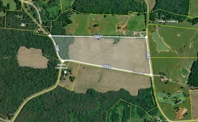 3694 Will Thompson Rd, Walling, TN 38587 - photo 2