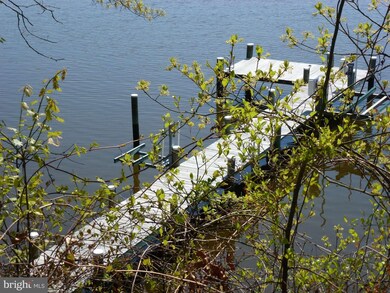 519 Ferrick Rd, Centreville, MD 21617 - photo 4