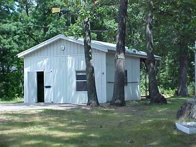 540 W Northern Ave, Brohman, MI 49312 - photo 2