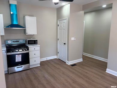 312 W Sycamore St, Carbondale, IL 62901 - photo 4