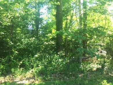 551 Colbert St, Mandeville, LA 70448 - photo 6