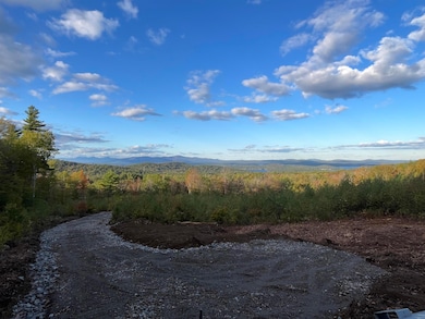 47 Homestead Dr, Gilford, NH 03249 - photo 7