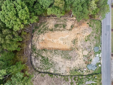 1022 Carl Sanders Dr, Acworth, GA 30101 - photo 3