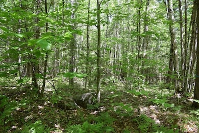 20230719234322467075000000-o