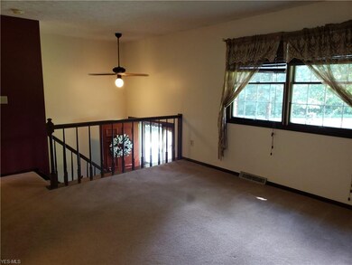 lots of natural light