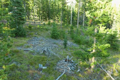 24 Old Toby Rd, Big Sky, MT 59716 - photo 4