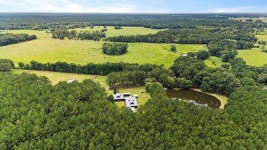 1163 John Amacker Rd, Poplarville, MS 39470 - photo 6