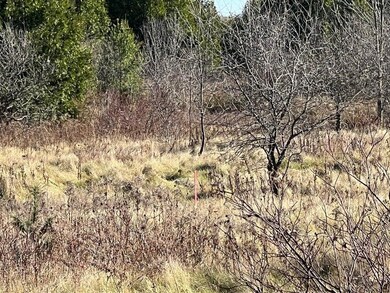 . Ketcham Bridge Rd, West Chazy, NY 12992 - photo 6