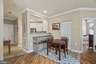 2310 14th St N unit 307, Arlington, VA 22201 - photo 6