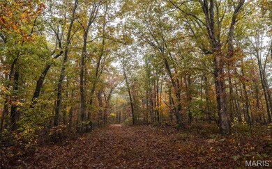 2 Lodge Rd, Bourbon, MO 65441 - photo 5