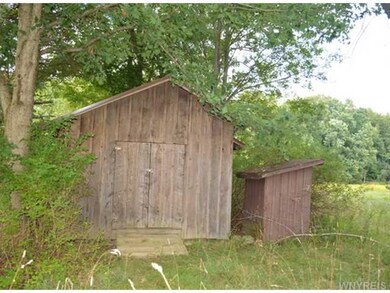 Shed