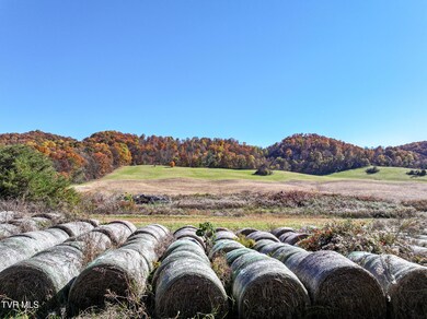 5360 Old Snapps Ferry Rd, Limestone, TN 37681 - photo 2