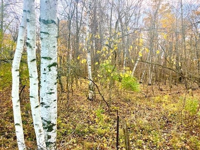 Lot 4 320th St, Forest Township, WI 54005 - photo 6