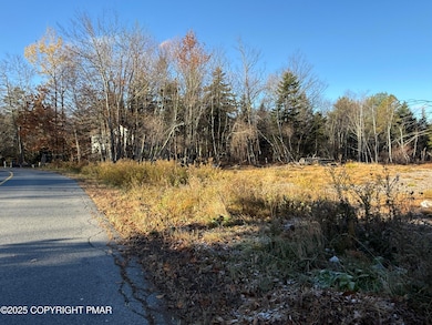 12 Laurel View Ln, Coolbaugh Township, PA 18466 - photo 7