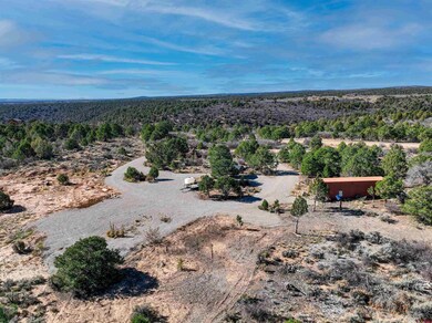 1657 De Oro Way, Hesperus, CO 81326 - photo 4