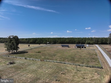 25862 Independence Rd, Unionville, VA 22567 - photo 4