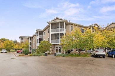 Village Grace Condominiums unit 219, Chaska, MN 55318 - photo 4