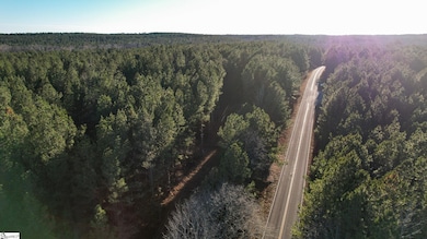 03 Jefferson Davis Rd unit Tract C, Mountville, SC 29370 - photo 5