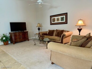 28954 Vermillion Ln, Bonita Springs, FL 34135 - photo 6