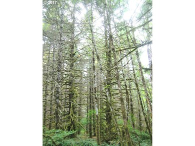 0 Wildwood Rd unit 17549433, Monmouth, OR 97361 - photo 4