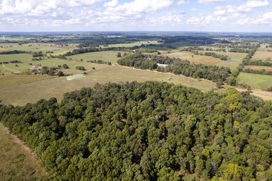 03 Carnell Rd, Rocky Comfort, MO 64861 - photo 7