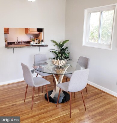 12520 Epping Ct, Silver Spring, MD 20906 - photo 7