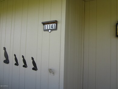 11141 W Emerald Dr, Sun City, AZ 85351 - photo 2