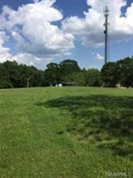 Back pasture