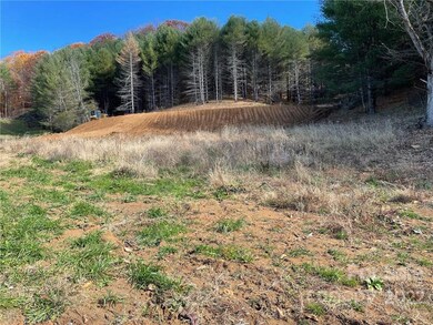 10 Chasing Dreams Dr unit 10, Burnsville, NC 28714 - photo 2