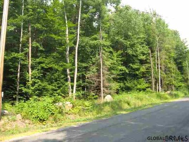 24 Lincoln Mountain Rd, Greenfield Center, NY 12833 - photo 2