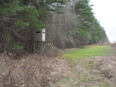 Nice place to hunt