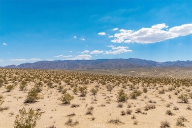 67800 Raymond Dr, Twentynine Palms, CA 92277 - photo 6