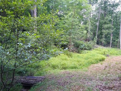 130 Starling Blvd unit 250, Lake Lure, NC 28746 - photo 4