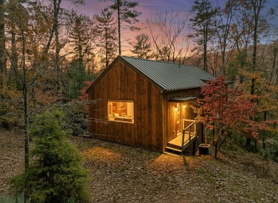 175 Big Creek Rd, Cherry Log, GA 30522 - photo 2