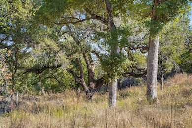 1301 Rm 2147, Marble Falls, TX 78654 - photo 2