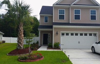 Bald Cypress Front 2
