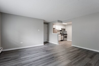 9969 Holly Ln unit 2E, Des Plaines, IL 60016 - photo 6