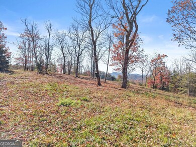 0 Helton Rd unit 10597557, Cleveland, GA 30528 - photo 6