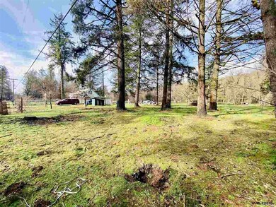 23245 N Fork Rd, Lyons, OR 97358 - photo 3