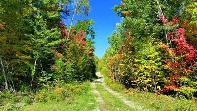 Gravel road leading to cleared...