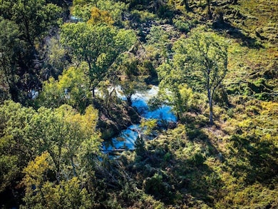 12245 County Rd 3514, Brownsboro, TX 75756 - photo 7