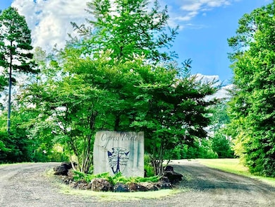 417 Old Tejas Trail W, Hemphill, TX 75948 - photo 3