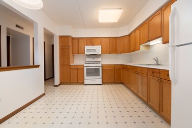 1325 Perry St unit 401, Des Plaines, IL 60016 - photo 4