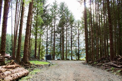 4 Chilkat Rd, Remote, AK 99921 - photo 5