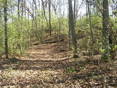 Lot 1 Hillcrest Ln, Oregon, WI 53575 - photo 4