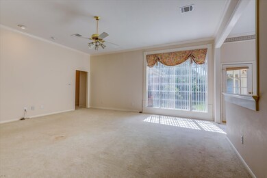 Large open window looking onto the back yard.