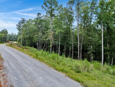 LOT 3 Shoreside at Sipsey, Double Springs, AL 35553 - photo 2